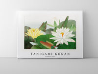 Tanigami Konan - Nymphaea lotus