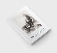 Odilon Redon - In the Shadow of the Wing, the Black Creature Bit 1891