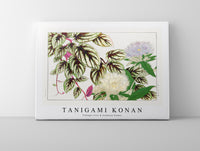 Tanigami Konan - Vintage vitis & stokesia flower