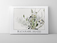 Watanabe Seitei - Wild dandelions illustration from Seitei Kacho Gafu 1890-1891
