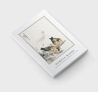 Numata Kashu - Small Japanese Greenfinch and Shepherd's Purse illustration from Pictorial Monograph of Birds (1885)