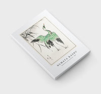 Numata Kashu - Demoiselle crane and Reed illustration from Pictorial Monograph of Birds (1885)