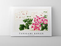 Tanigami Konan - Geranium flower