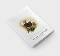 Frederick Sander - Cypripedium niveum from Reichenbachia Orchids-1847-1920