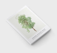 Joseph August Knip - Tall tree from Bomen in de omgeving van Subiaco (trees in the Subiaco area)