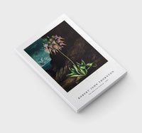 Robert John Thornton - The American Cowslip from The Temple of Flora (1807)