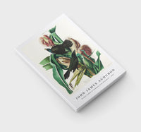 John James Audubon - Purple Grakle or Common Crow Blackbird from Birds of America (1827)