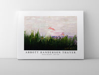 abbott handerson thayer - Roseate Spoonbill-1905-1909