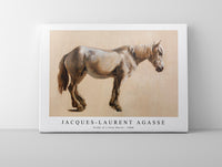 Jacques Laurent Agasse - Study of a Grey Horse (ca. 1800)