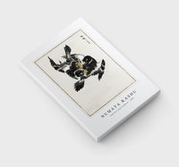 Numata Kashu - Japanese Jungle Nightjar illustration from Pictorial Monograph of Birds (1885)