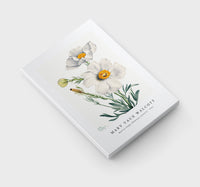 Mary Vaux Walcott - Matilija Poppy (Romneya coulteri) (1931)