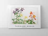 Tanigami Konan - Aquilegia flower