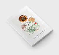 Robert Jacob Gordon-Gorteria diffusa (1777–1786)