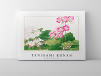 Tanigami Konan - Vintage primrose flower