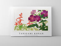 Tanigami Konan - Vintage salvia & melastoma flower