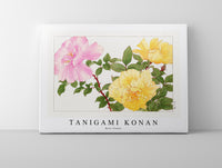 Tanigami Konan - Rose flower