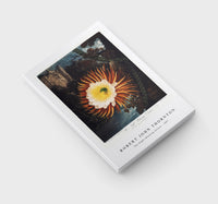 Robert John Thornton - The Night–Blowing Cereus from The Temple of Flora (1807)