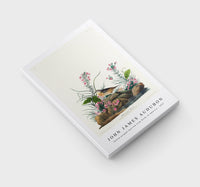 John James Audubon - Yellow-winged Sparrow from Birds of America (1827)