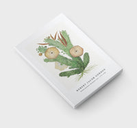 Robert Jacob Gordon - Hoodia gordonii Bushman’s hat (1777–1786)