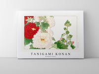 Tanigami Konan - Hollyhock flower