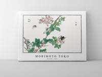 Morimoto Toko - Horsefly illustration from Churui Gafu (1910)