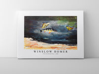 winslow homer - Fish and Butterflies-1900