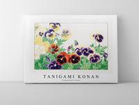 Tanigami Konan - Vintage pansy flower