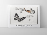 Morimoto Toko - Butterflies illustration from Churui Gafu (1910)