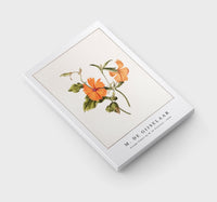 M. de Gijselaar - Orange flower by M. de Gijselaar (1820)