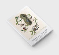 John James Audubon - Chesnut-backed Titmouse, Black-capt Titmouse and Chesnut-crowned Titmouse(1827)