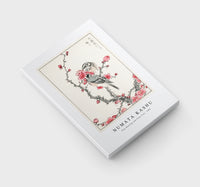 Numata Kashu - Pine Bunting and Plum Tree illustration from Pictorial Monograph of Birds