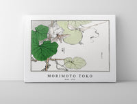 Morimoto Toko - Moth illustration from Churui Gafu (1910)