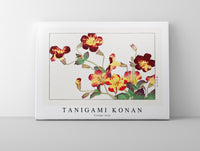 Tanigami Konan - Vintage tulip