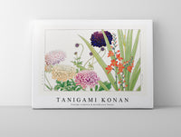Tanigami Konan - Vintage scabiosa & montbretia flower