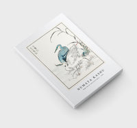 Numata Kashu - Night Heron and Little Egret illustration from Pictorial Monograph of Birds (1885)