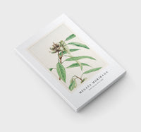 Megata Morikaga - Kashi during 1870–1880