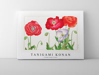Tanigami Konan - Vintage poppy flower
