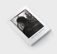 Odilon Redon - Old Knight 1896