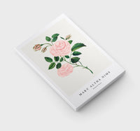 Mary Altha Nims - Damask Rose