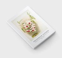 Frederick Sander - Dendrobium leechianum from Reichenbachia Orchids-1847-1920