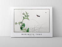 Morimoto Toko - Fireflies illustration from Churui Gafu (1910)