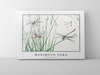 Morimoto Toko - Dragonflies illustration from Churui Gafu (1910)