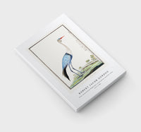 Robert Jacob Gordon - Grus carunculatus Bugeranus carunculatus wattled crane (1777–1786)