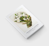 Frederick Sander - Cattleya rochellensis from Reichenbachia Orchids-1847-1920