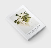 Frederick Sander - Aeranthus sesquipedalis from Reichenbachia Orchids-1847-1920