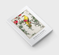 Numata Kashu - Chinese Bush-warbler and Drooping Peach iIllustration from Pictorial Monograph of Birds (1885)