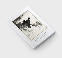 Numata Kashu - Eastern Rook and Cypress on New Moon illustration from Pictorial Monograph of Birds (1885)