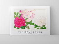 Tanigami Konan - Rose flower