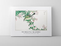 Numata Kashu - Bull-headed Shrike and Bush Clover illustration from Pictorial Monograph of Birds (1885)