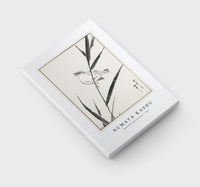 Numata Kashu - Reed-Bunting and Reed illustration from Pictorial Monograph of Birds (1885)